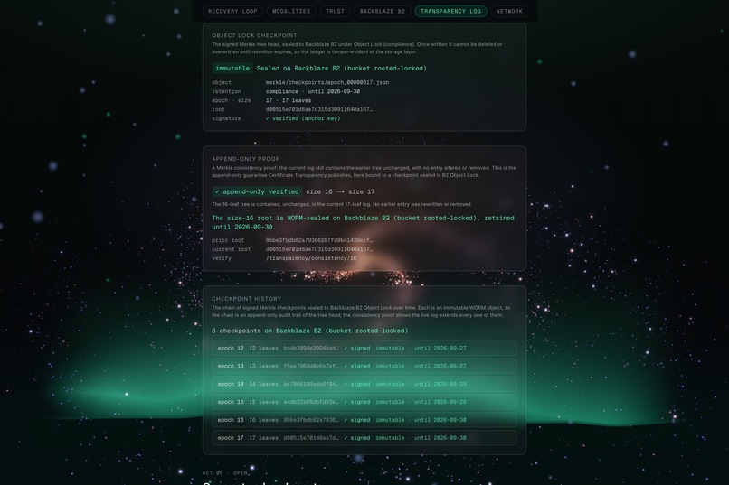 Rooted  – screenshot 6