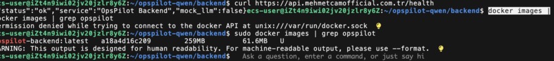 OpsPilot AI – screenshot 7