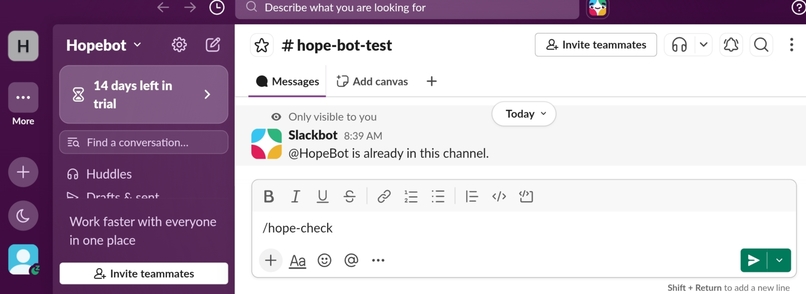 HopeBot companion – screenshot 5