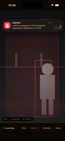 Nightjar – screenshot 11