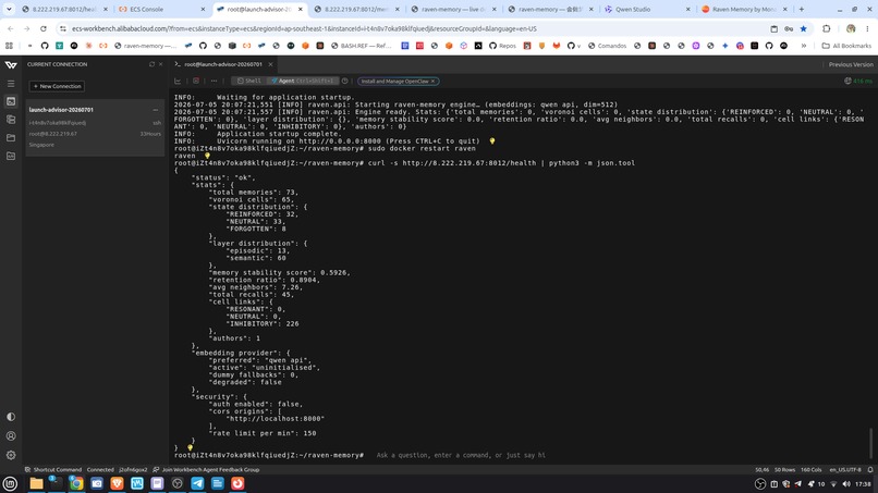 Raven Memory – screenshot 3