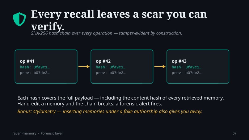Raven Memory – screenshot 11