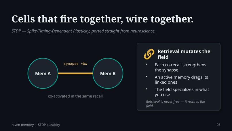 Raven Memory – screenshot 13