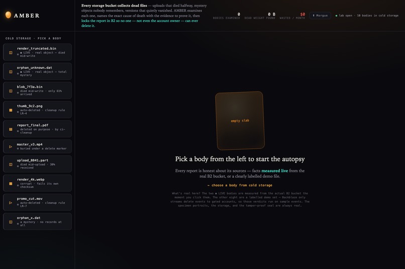 AMBER — autopsy for dead objects in your B2 bucket – screenshot 1