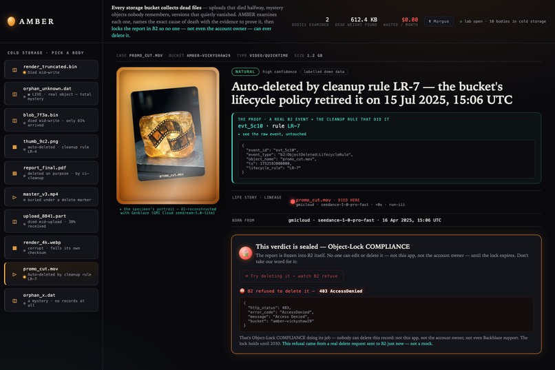 AMBER — autopsy for dead objects in your B2 bucket – screenshot 2