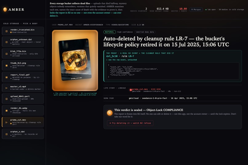 AMBER — autopsy for dead objects in your B2 bucket – screenshot 4