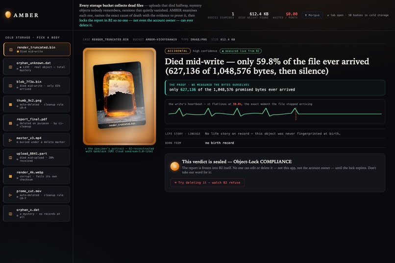 AMBER — autopsy for dead objects in your B2 bucket – screenshot 5