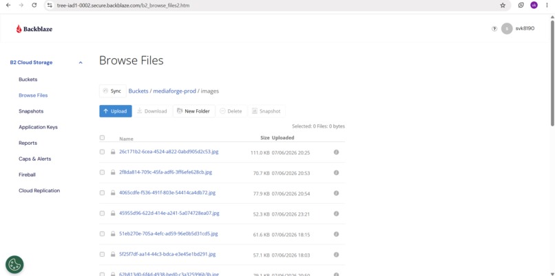 Muse Image Studio – screenshot 5