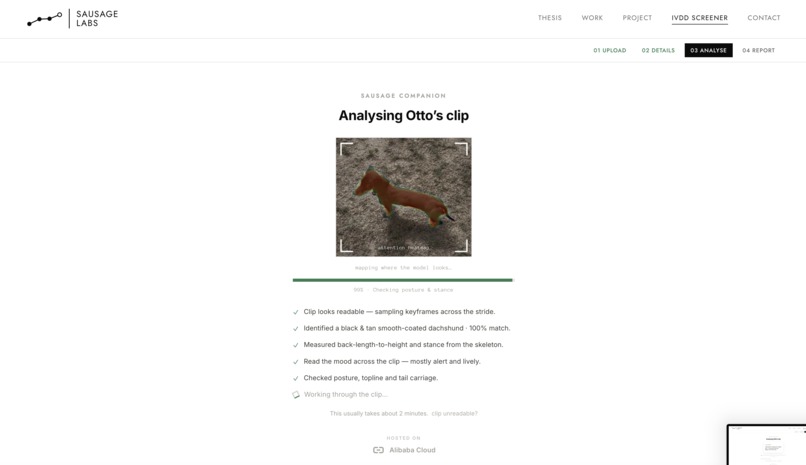 Sausage Labs - IVDD Screener – screenshot 5