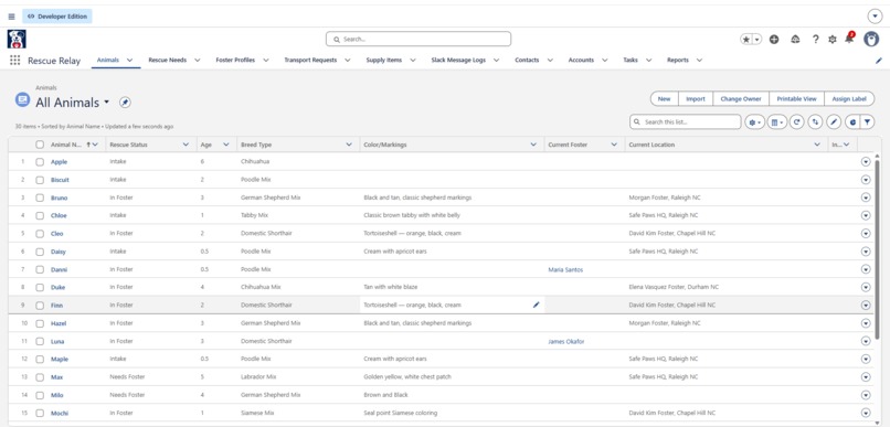 Rescue Relay – screenshot 9