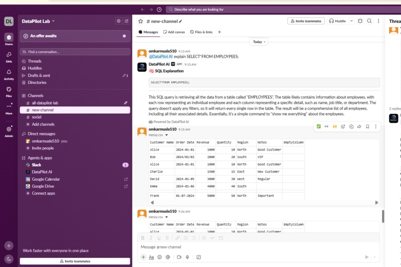 DataPilot AI – screenshot 3