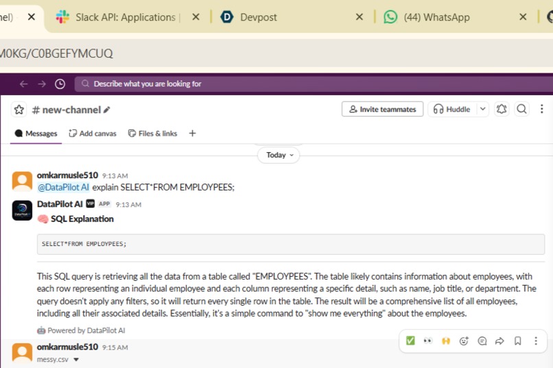 DataPilot AI – screenshot 4