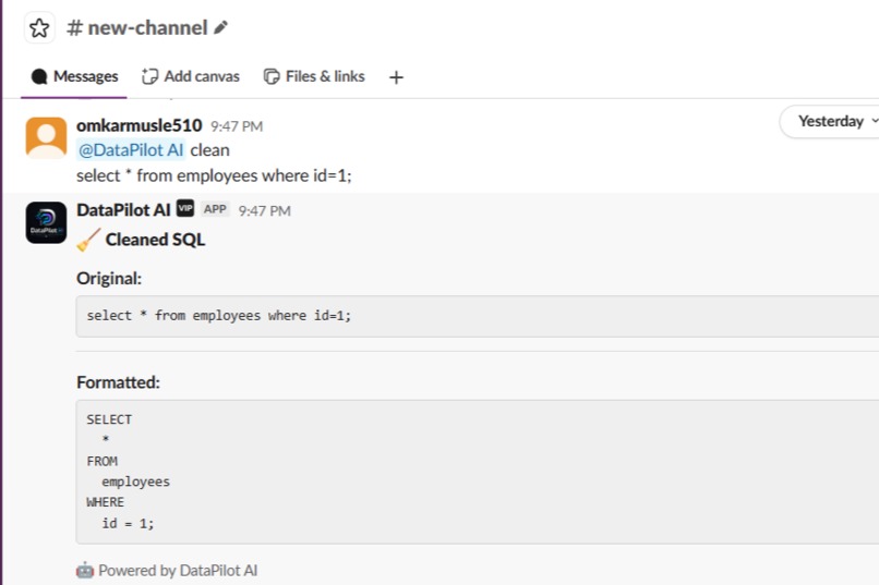 DataPilot AI – screenshot 5