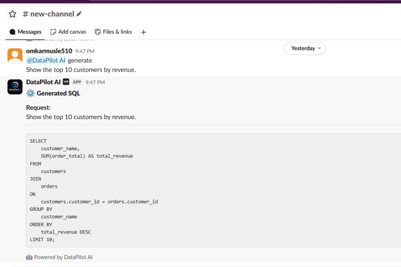 DataPilot AI – screenshot 6