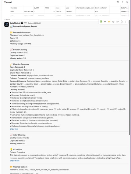 DataPilot AI – screenshot 10