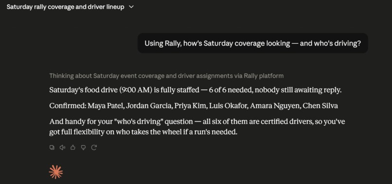 Rally  – screenshot 2