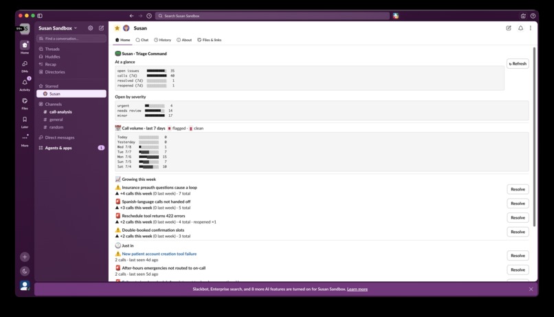 Susan - Call Issue Triage – screenshot 1