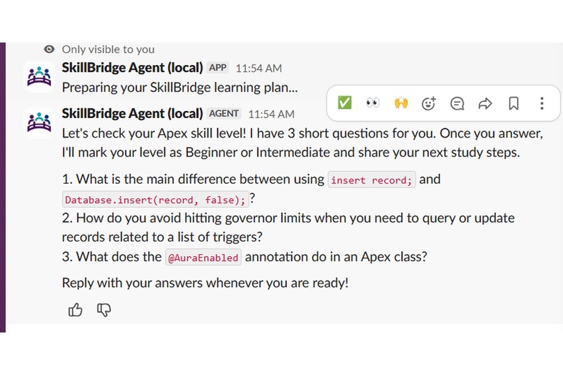 SkillBridge Agent – screenshot 2