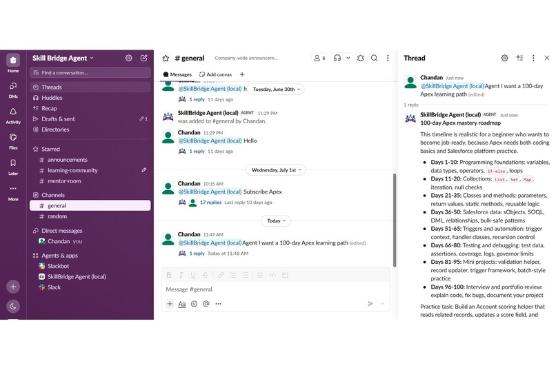 SkillBridge Agent – screenshot 6