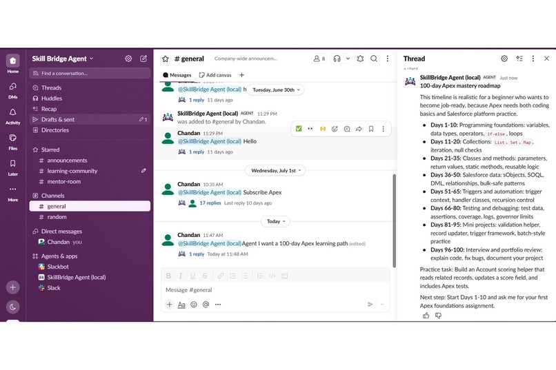 SkillBridge Agent – screenshot 7