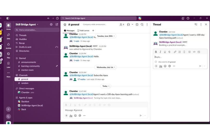 SkillBridge Agent – screenshot 8