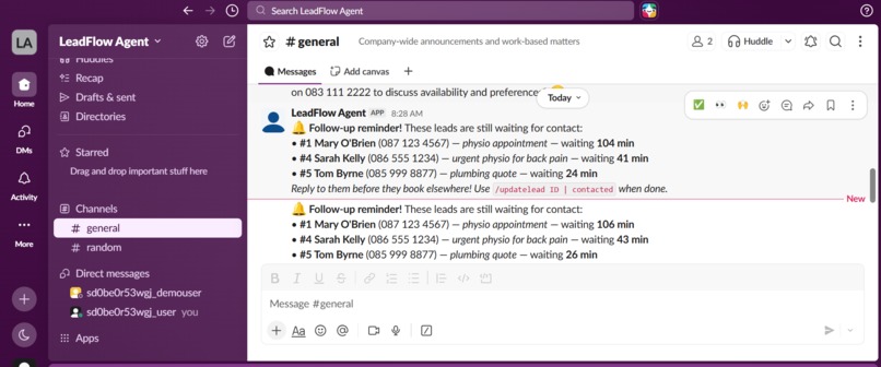 3fLeadFlow Agent – screenshot 2