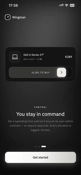 Wingman – screenshot 1