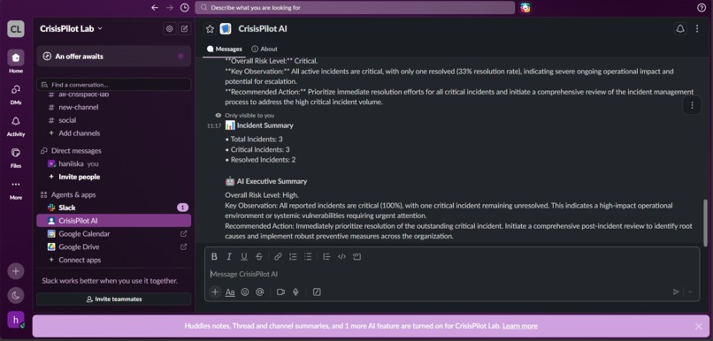 CrisisPilot AI – screenshot 4