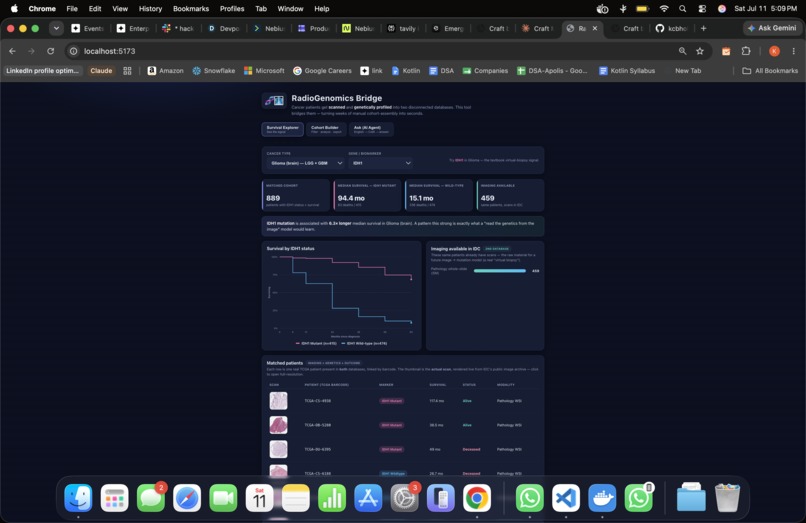  RadioGenomics – screenshot 1