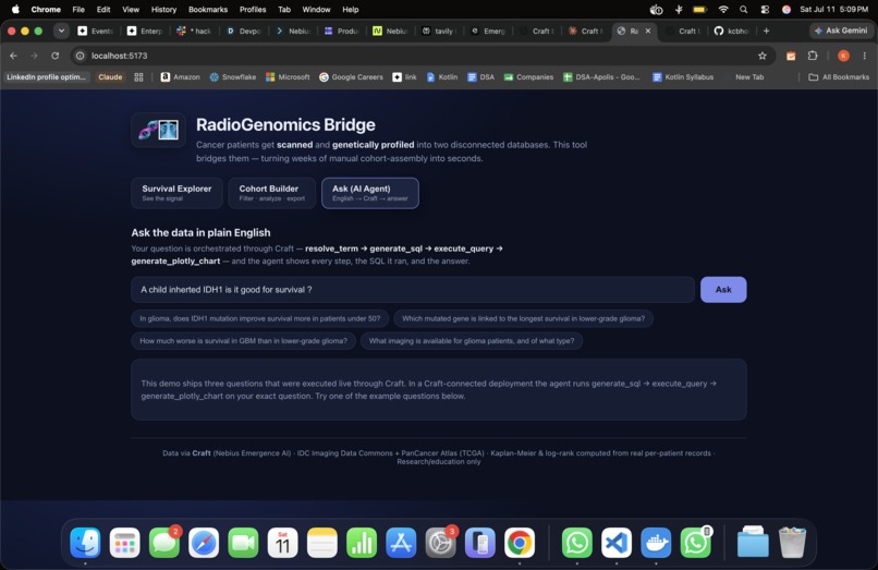  RadioGenomics – screenshot 2