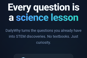 DailyWhy