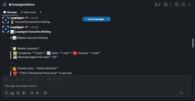 LoopAgent – screenshot 2