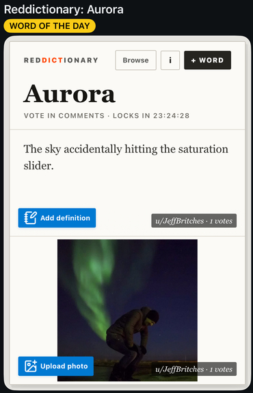 Reddictionary – screenshot 5