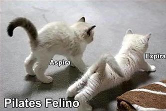 Formalates