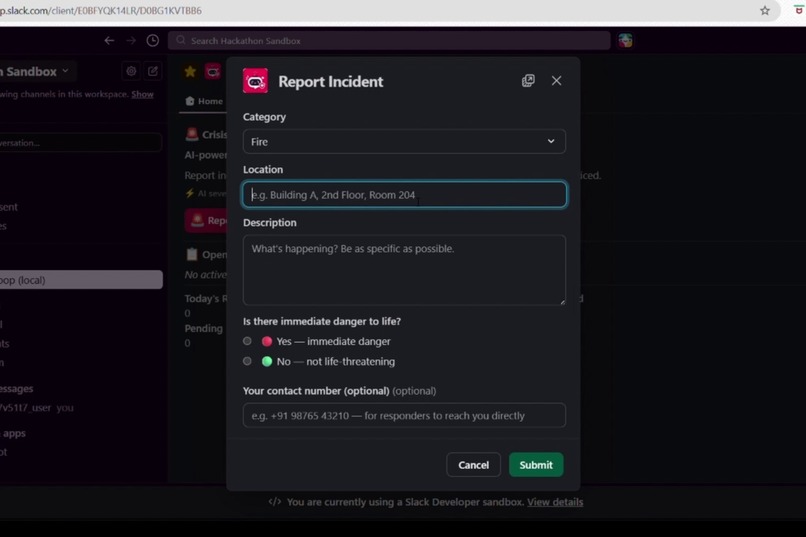 CrisisLoop – screenshot 1
