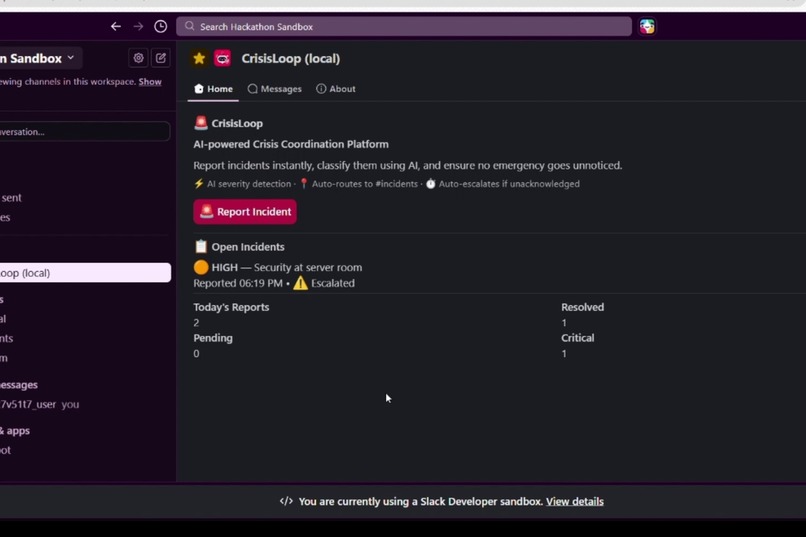 CrisisLoop – screenshot 3