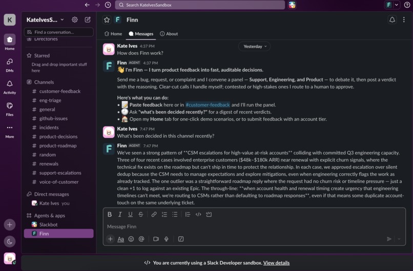 Finn – screenshot 7