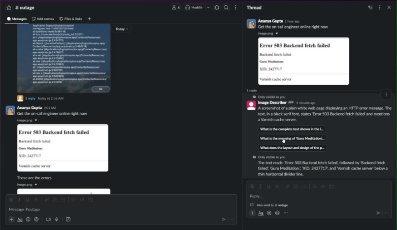 Image Describer – screenshot 6