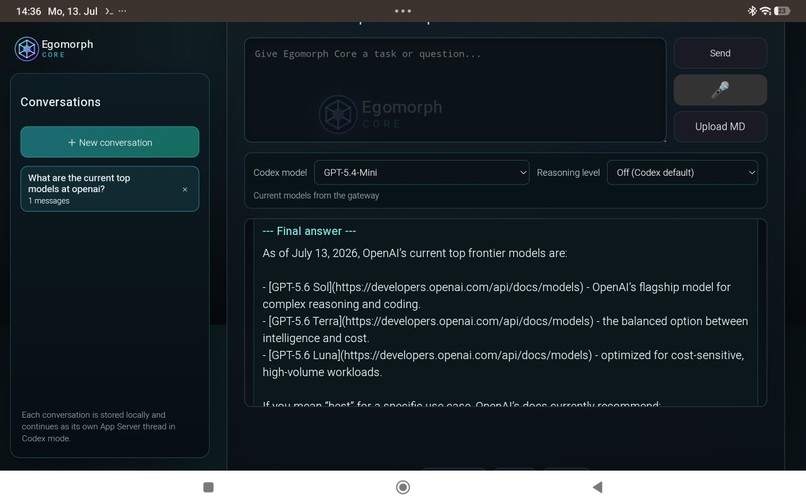 Egomorph-CORE- – screenshot 2
