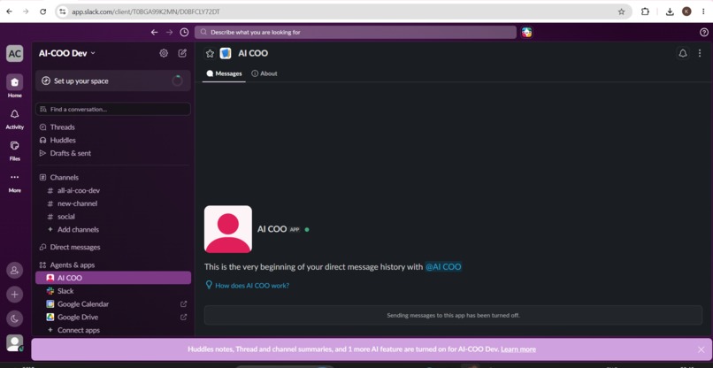 AI-COO DEV – screenshot 1