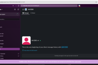 AI-COO DEV