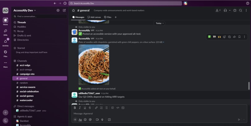 AccessAlly – screenshot 3