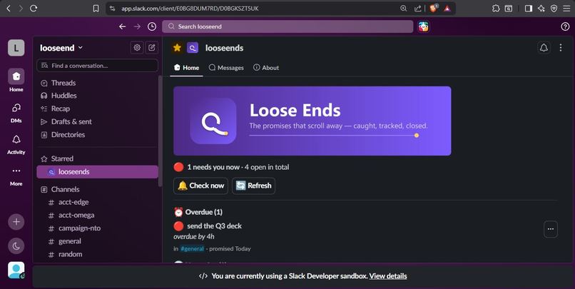 Loose-ends – screenshot 4