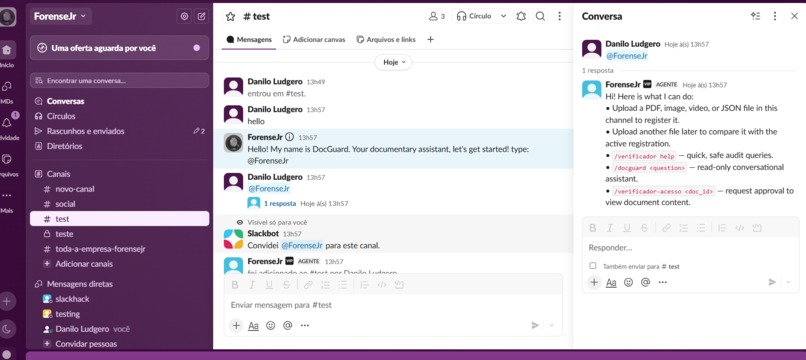 DocGuard/ForenseJr – screenshot 3