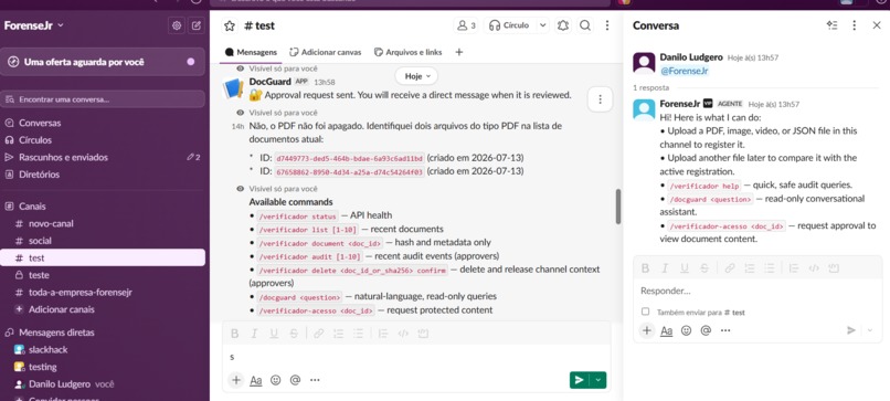 DocGuard/ForenseJr – screenshot 2