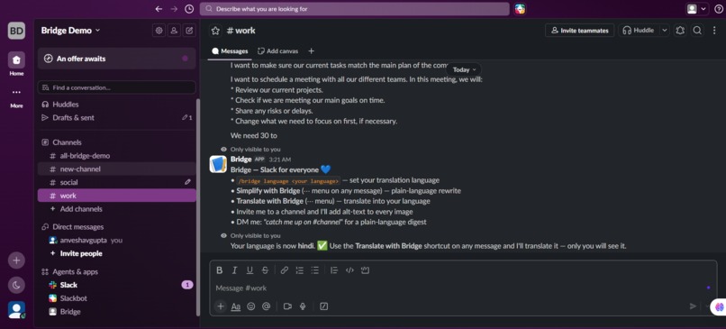 Bridge – screenshot 4