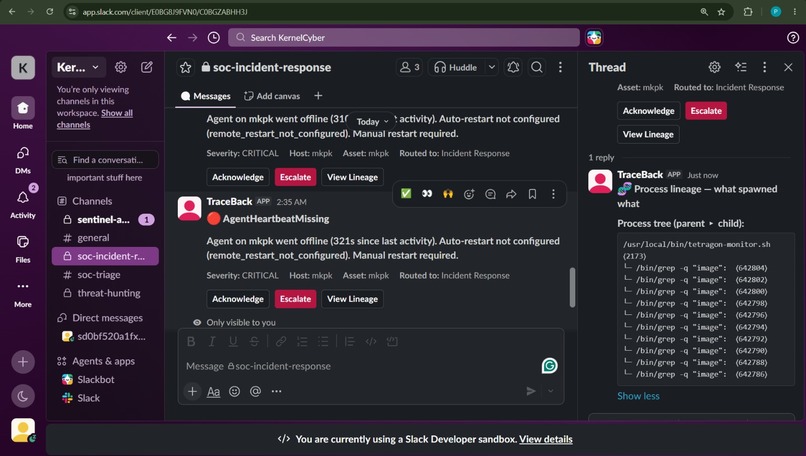 TraceBack – screenshot 5
