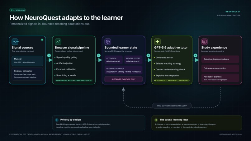 NeuroQuest: Mind Adaptive Study Tuitor – screenshot 2