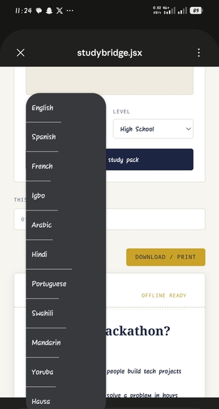 Study_Bridge  – screenshot 2