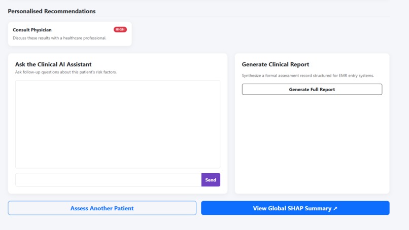 Stroke Risk Assessment Report – screenshot 1